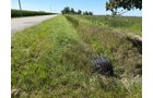 Property photo 23 - LAND AUCTION - 33.8+/-ACRES OFFERED IN 1 TRACT IN ALLEN COUNTY, INDIANA