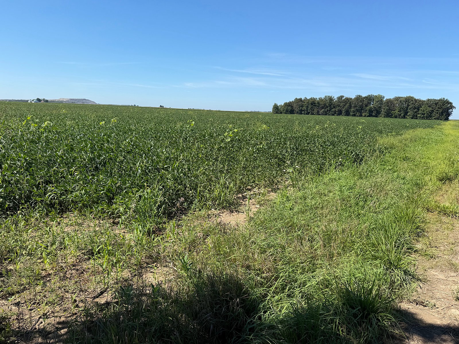 Property photo 22 - LAND AUCTION - 33.8+/-ACRES OFFERED IN 1 TRACT IN ALLEN COUNTY, INDIANA