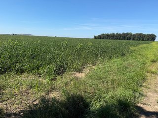Property photo 22 - LAND AUCTION - 33.8+/-ACRES OFFERED IN 1 TRACT IN ALLEN COUNTY, INDIANA
