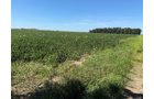 Property photo 22 - LAND AUCTION - 33.8+/-ACRES OFFERED IN 1 TRACT IN ALLEN COUNTY, INDIANA
