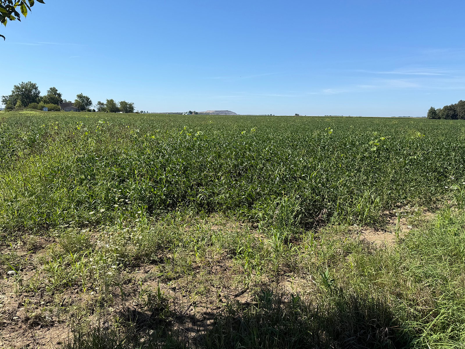 Property photo 21 - LAND AUCTION - 33.8+/-ACRES OFFERED IN 1 TRACT IN ALLEN COUNTY, INDIANA