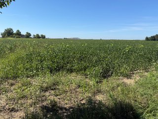 Property photo 21 - LAND AUCTION - 33.8+/-ACRES OFFERED IN 1 TRACT IN ALLEN COUNTY, INDIANA