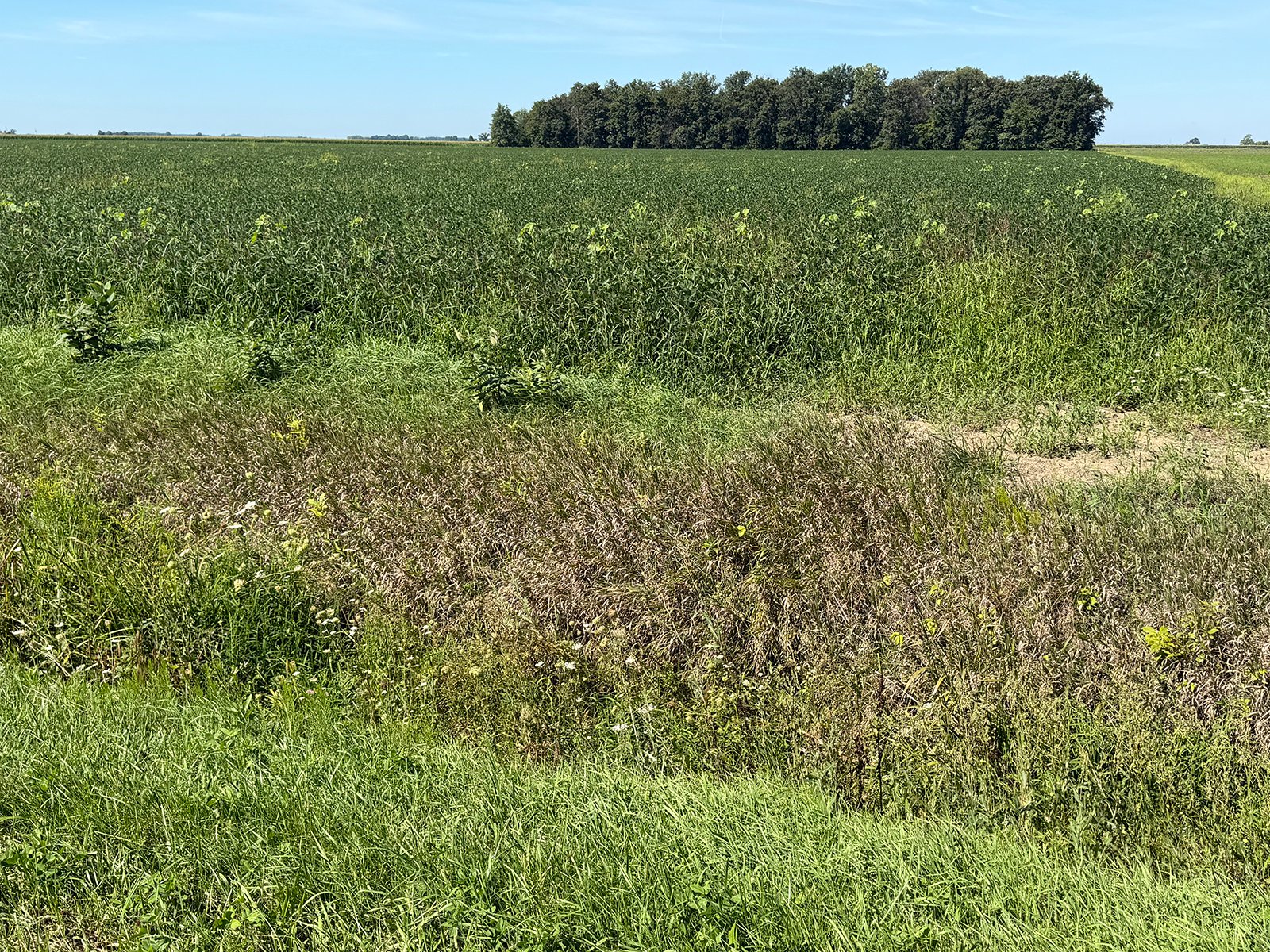 Property photo 19 - LAND AUCTION - 33.8+/-ACRES OFFERED IN 1 TRACT IN ALLEN COUNTY, INDIANA
