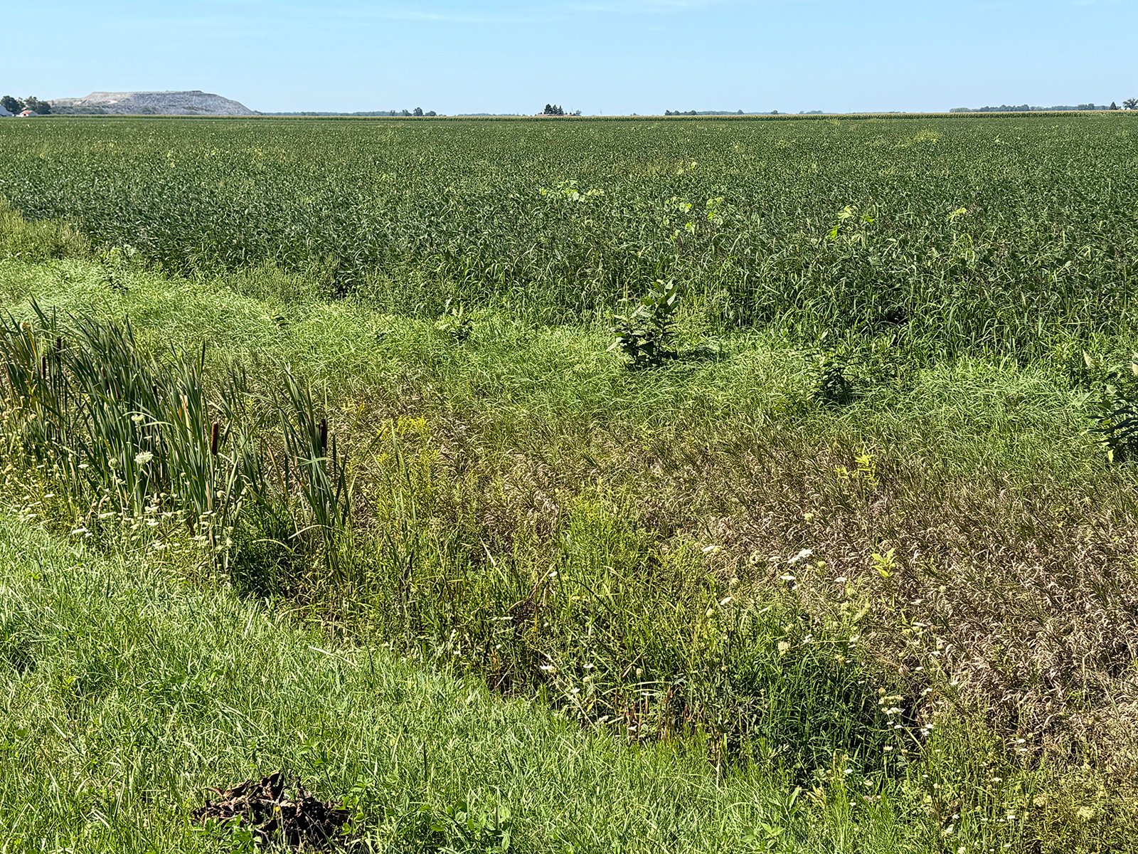 Property photo 12 - LAND AUCTION - 33.8+/-ACRES OFFERED IN 1 TRACT IN ALLEN COUNTY, INDIANA