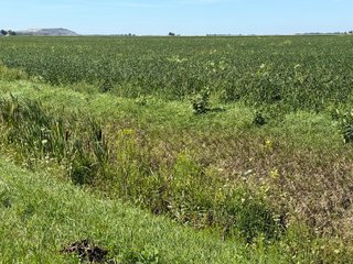 Property photo 12 - LAND AUCTION - 33.8+/-ACRES OFFERED IN 1 TRACT IN ALLEN COUNTY, INDIANA
