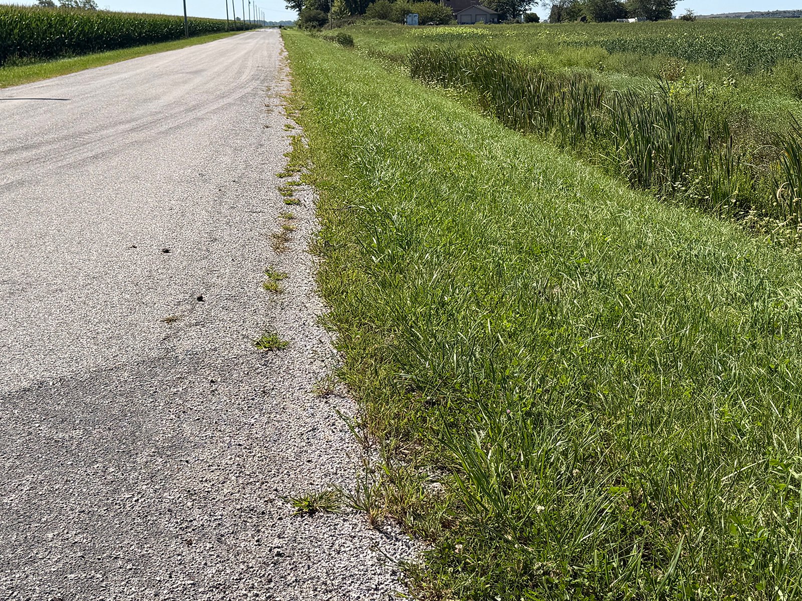 Property photo 25 - LAND AUCTION - 33.8+/-ACRES OFFERED IN 1 TRACT IN ALLEN COUNTY, INDIANA