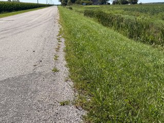 Property photo 25 - LAND AUCTION - 33.8+/-ACRES OFFERED IN 1 TRACT IN ALLEN COUNTY, INDIANA