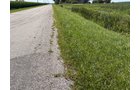 Property photo 25 - LAND AUCTION - 33.8+/-ACRES OFFERED IN 1 TRACT IN ALLEN COUNTY, INDIANA