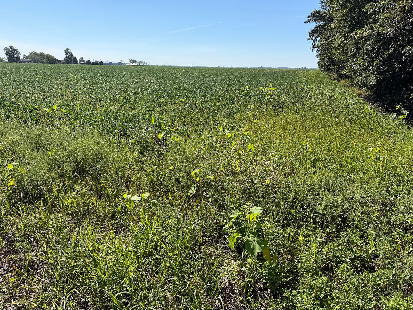 Property photo 17 - LAND AUCTION - 33.8+/-ACRES OFFERED IN 1 TRACT IN ALLEN COUNTY, INDIANA