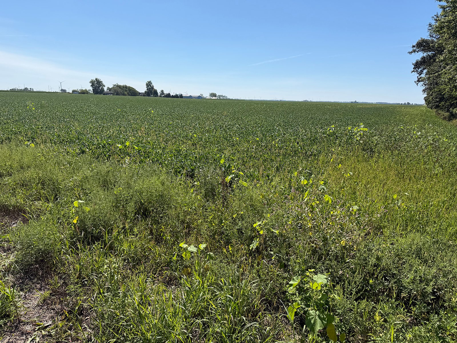 Property photo 18 - LAND AUCTION - 33.8+/-ACRES OFFERED IN 1 TRACT IN ALLEN COUNTY, INDIANA