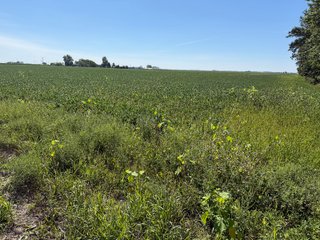 Property photo 18 - LAND AUCTION - 33.8+/-ACRES OFFERED IN 1 TRACT IN ALLEN COUNTY, INDIANA