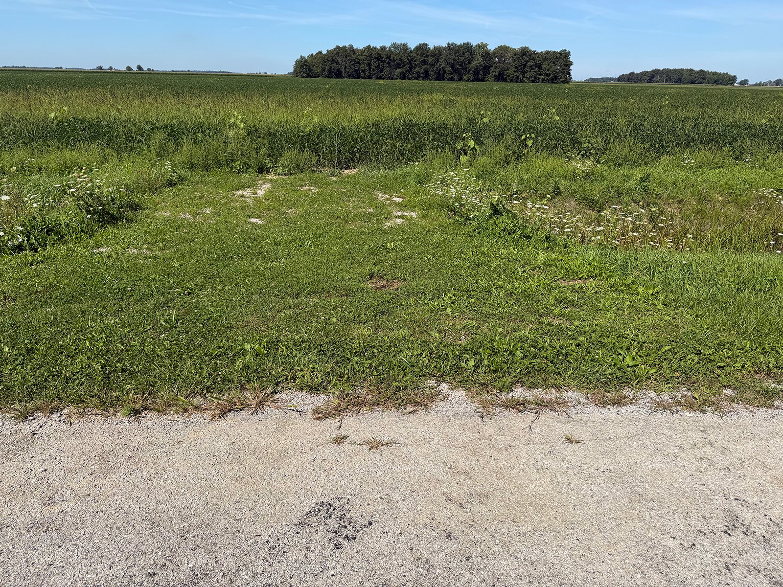 Property photo 26 - LAND AUCTION - 33.8+/-ACRES OFFERED IN 1 TRACT IN ALLEN COUNTY, INDIANA