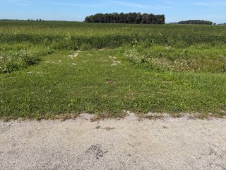 Property photo 26 - LAND AUCTION - 33.8+/-ACRES OFFERED IN 1 TRACT IN ALLEN COUNTY, INDIANA
