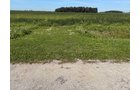 Property photo 26 - LAND AUCTION - 33.8+/-ACRES OFFERED IN 1 TRACT IN ALLEN COUNTY, INDIANA