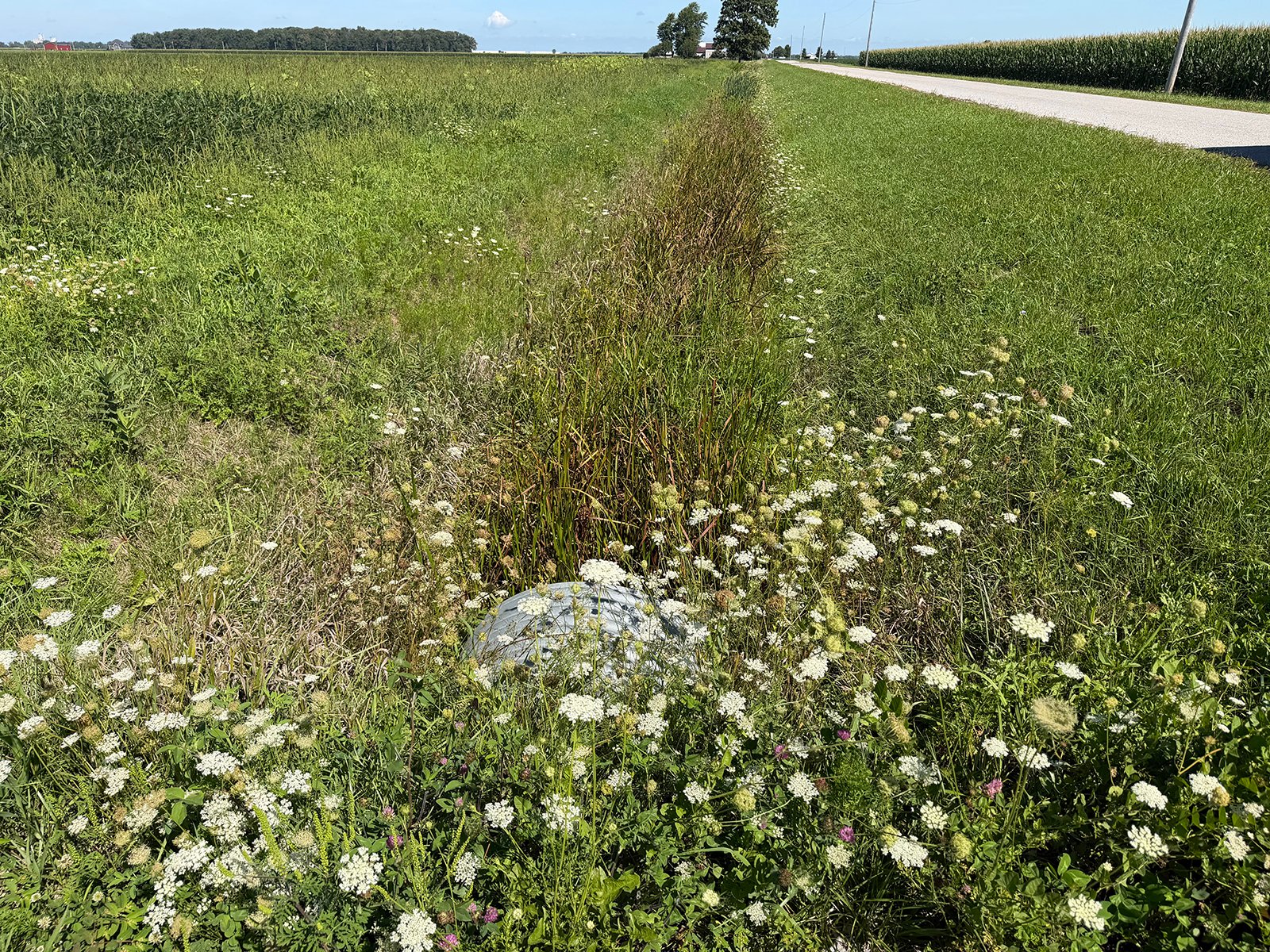 Property photo 27 - LAND AUCTION - 33.8+/-ACRES OFFERED IN 1 TRACT IN ALLEN COUNTY, INDIANA