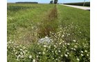 Property photo 27 - LAND AUCTION - 33.8+/-ACRES OFFERED IN 1 TRACT IN ALLEN COUNTY, INDIANA