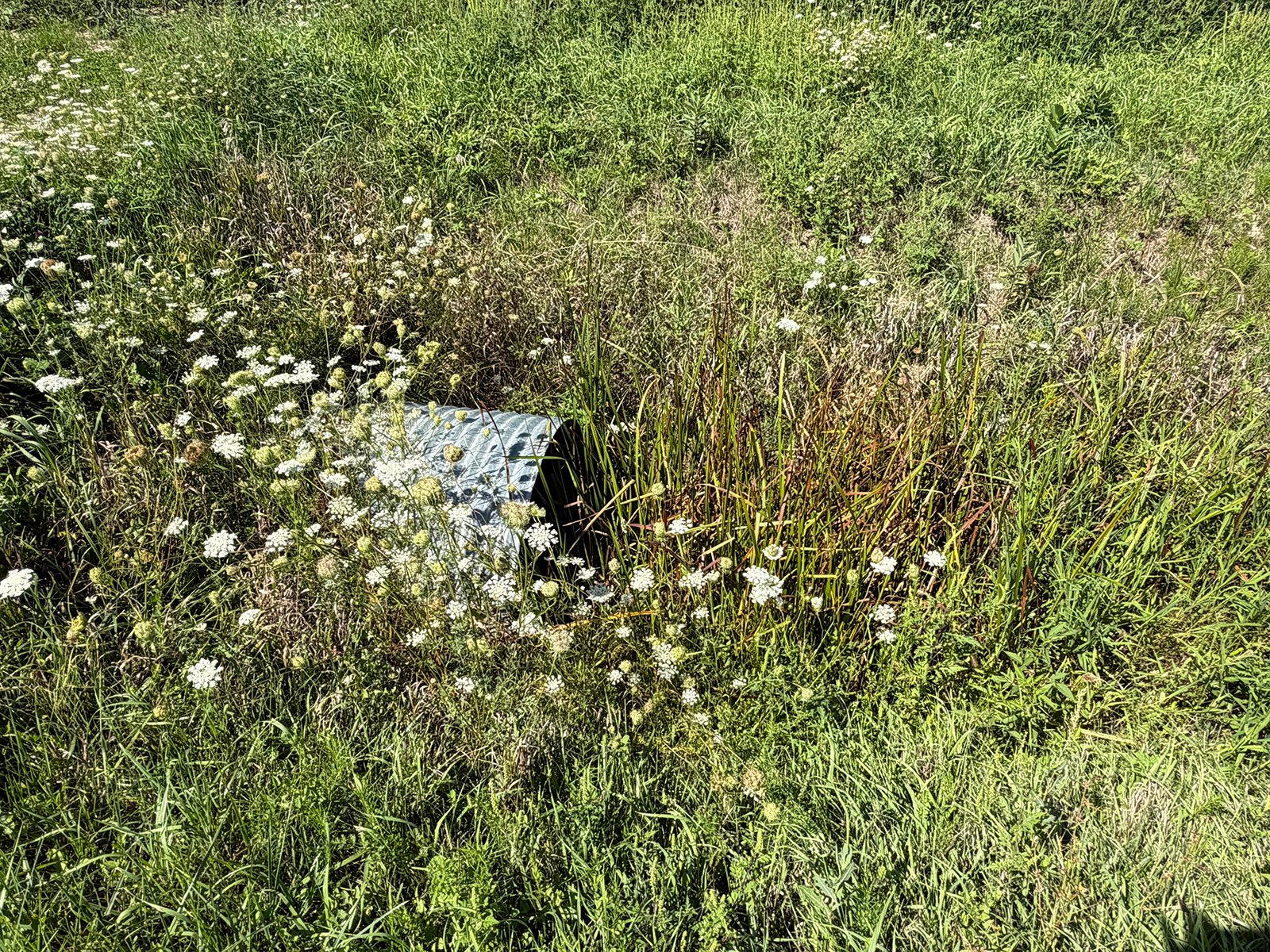 Property photo 28 - LAND AUCTION - 33.8+/-ACRES OFFERED IN 1 TRACT IN ALLEN COUNTY, INDIANA