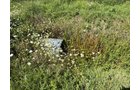 Property photo 28 - LAND AUCTION - 33.8+/-ACRES OFFERED IN 1 TRACT IN ALLEN COUNTY, INDIANA