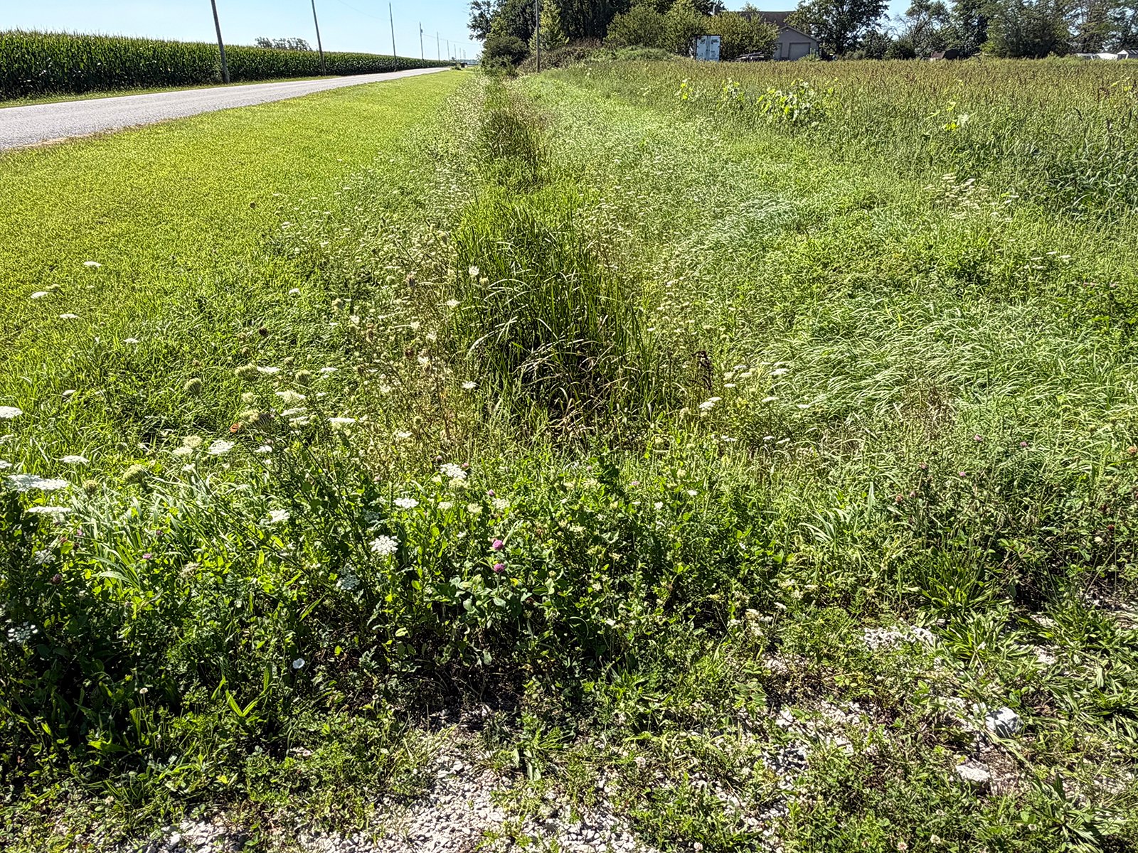 Property photo 29 - LAND AUCTION - 33.8+/-ACRES OFFERED IN 1 TRACT IN ALLEN COUNTY, INDIANA