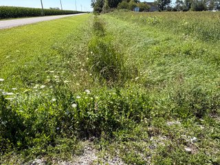 Property photo 29 - LAND AUCTION - 33.8+/-ACRES OFFERED IN 1 TRACT IN ALLEN COUNTY, INDIANA