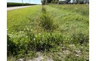 Property photo 29 - LAND AUCTION - 33.8+/-ACRES OFFERED IN 1 TRACT IN ALLEN COUNTY, INDIANA