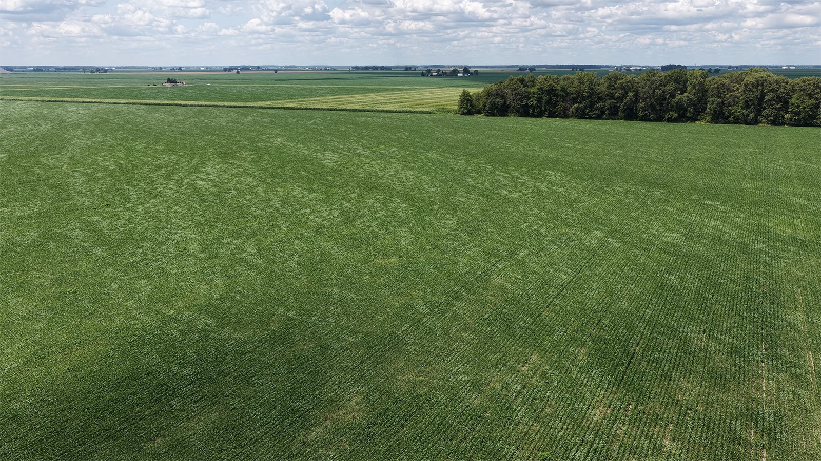 Property photo 2 - LAND AUCTION - 33.8+/-ACRES OFFERED IN 1 TRACT IN ALLEN COUNTY, INDIANA