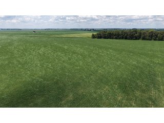 Property photo 2 - LAND AUCTION - 33.8+/-ACRES OFFERED IN 1 TRACT IN ALLEN COUNTY, INDIANA