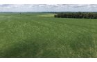 Property photo 2 - LAND AUCTION - 33.8+/-ACRES OFFERED IN 1 TRACT IN ALLEN COUNTY, INDIANA