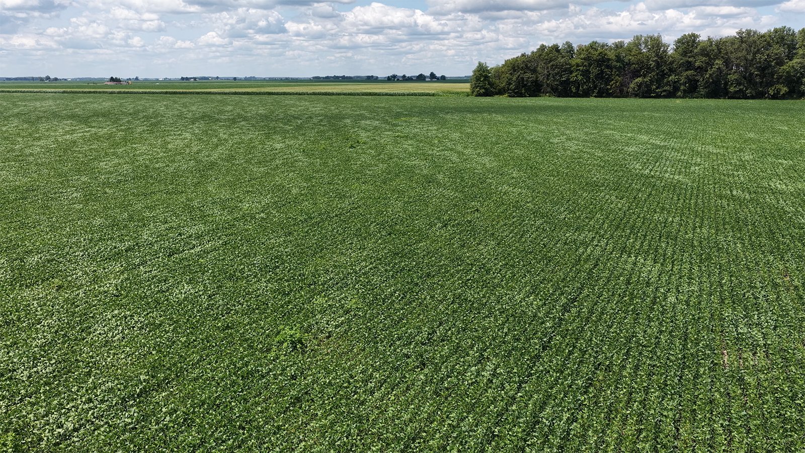Property photo 3 - LAND AUCTION - 33.8+/-ACRES OFFERED IN 1 TRACT IN ALLEN COUNTY, INDIANA