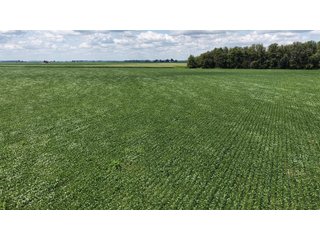 Property photo 3 - LAND AUCTION - 33.8+/-ACRES OFFERED IN 1 TRACT IN ALLEN COUNTY, INDIANA