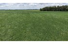 Property photo 3 - LAND AUCTION - 33.8+/-ACRES OFFERED IN 1 TRACT IN ALLEN COUNTY, INDIANA