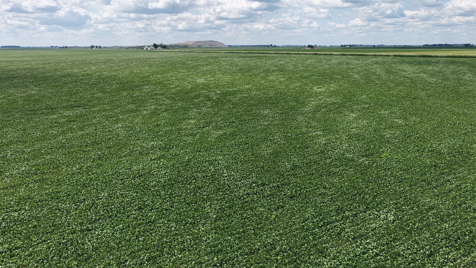 Property photo 4 - LAND AUCTION - 33.8+/-ACRES OFFERED IN 1 TRACT IN ALLEN COUNTY, INDIANA