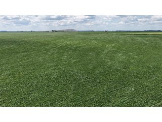Property photo 4 - LAND AUCTION - 33.8+/-ACRES OFFERED IN 1 TRACT IN ALLEN COUNTY, INDIANA