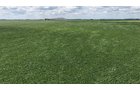 Property photo 4 - LAND AUCTION - 33.8+/-ACRES OFFERED IN 1 TRACT IN ALLEN COUNTY, INDIANA