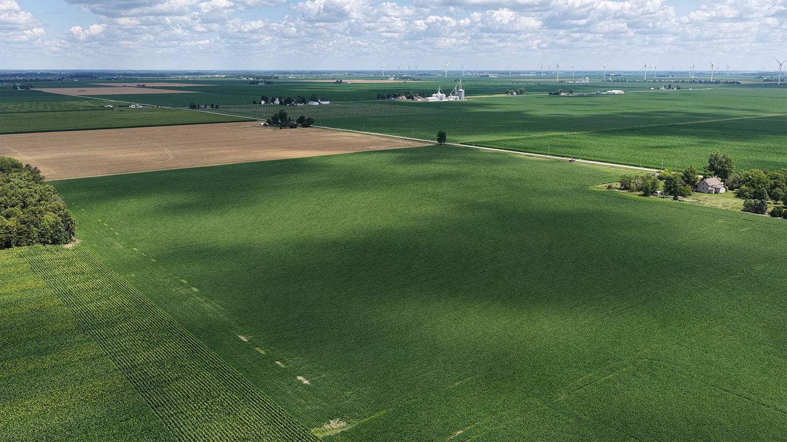Property photo 5 - LAND AUCTION - 33.8+/-ACRES OFFERED IN 1 TRACT IN ALLEN COUNTY, INDIANA