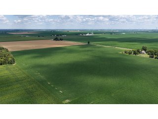 Property photo 5 - LAND AUCTION - 33.8+/-ACRES OFFERED IN 1 TRACT IN ALLEN COUNTY, INDIANA