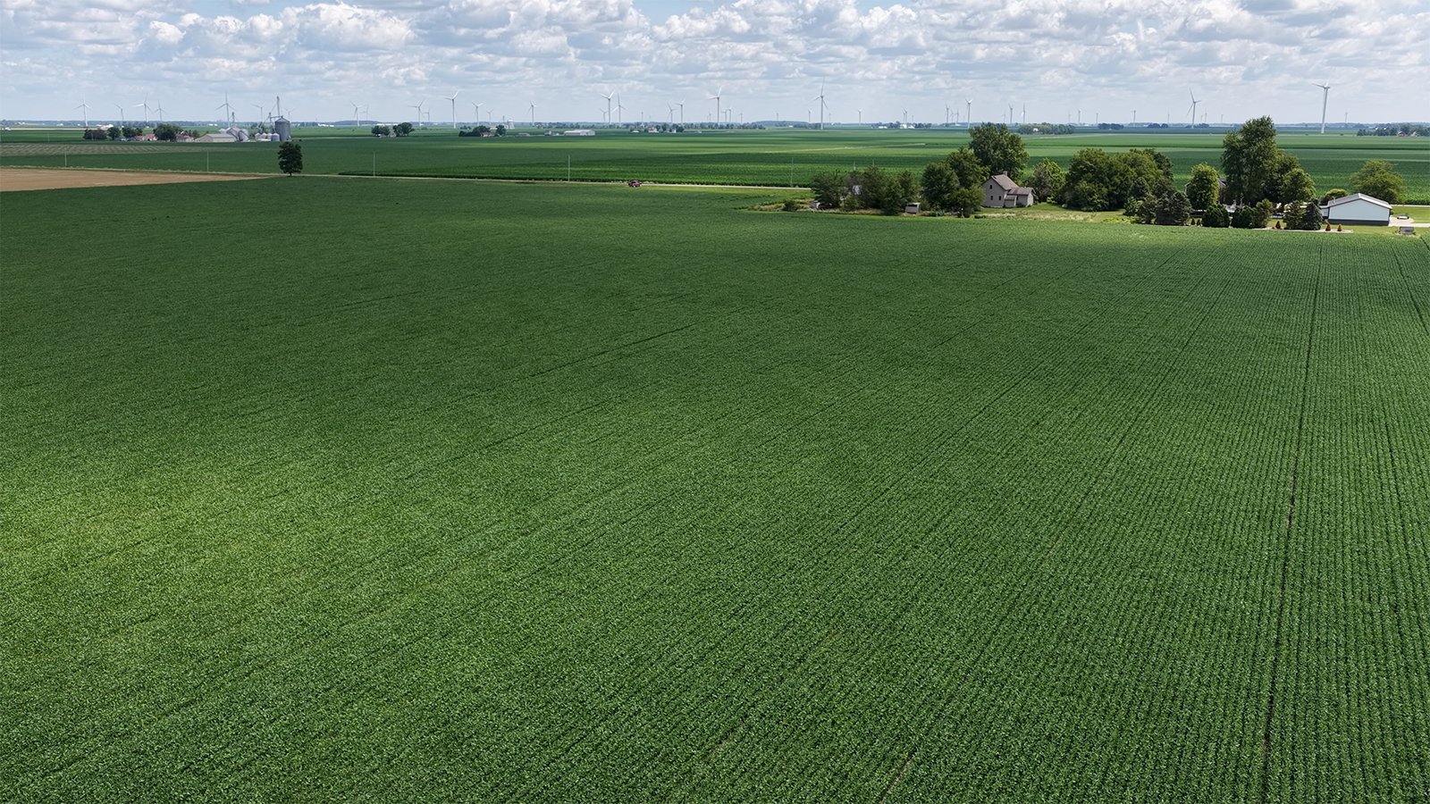 Property photo 6 - LAND AUCTION - 33.8+/-ACRES OFFERED IN 1 TRACT IN ALLEN COUNTY, INDIANA