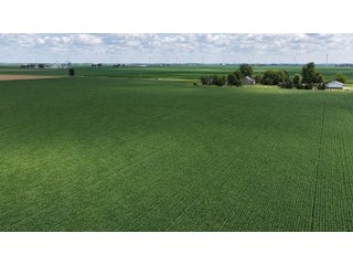 Property photo 6 - LAND AUCTION - 33.8+/-ACRES OFFERED IN 1 TRACT IN ALLEN COUNTY, INDIANA