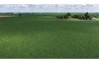 Property photo 6 - LAND AUCTION - 33.8+/-ACRES OFFERED IN 1 TRACT IN ALLEN COUNTY, INDIANA