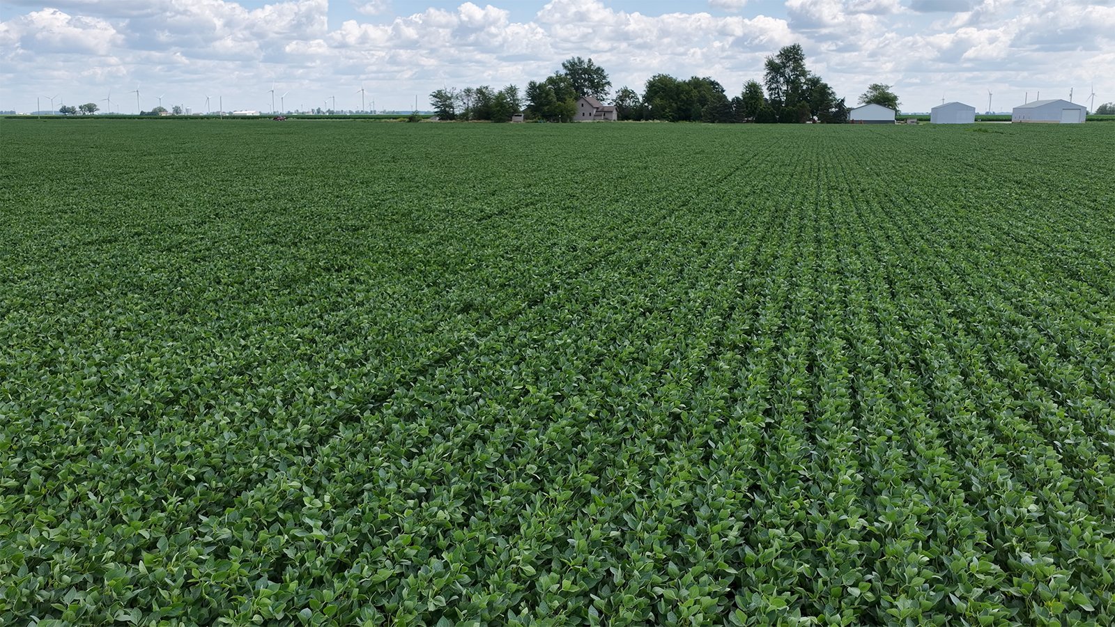 Property photo 7 - LAND AUCTION - 33.8+/-ACRES OFFERED IN 1 TRACT IN ALLEN COUNTY, INDIANA