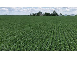 Property photo 7 - LAND AUCTION - 33.8+/-ACRES OFFERED IN 1 TRACT IN ALLEN COUNTY, INDIANA