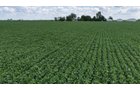 Property photo 7 - LAND AUCTION - 33.8+/-ACRES OFFERED IN 1 TRACT IN ALLEN COUNTY, INDIANA