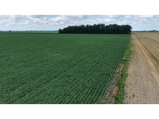 Property photo 8 - LAND AUCTION - 33.8+/-ACRES OFFERED IN 1 TRACT IN ALLEN COUNTY, INDIANA