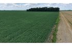 Property photo 8 - LAND AUCTION - 33.8+/-ACRES OFFERED IN 1 TRACT IN ALLEN COUNTY, INDIANA