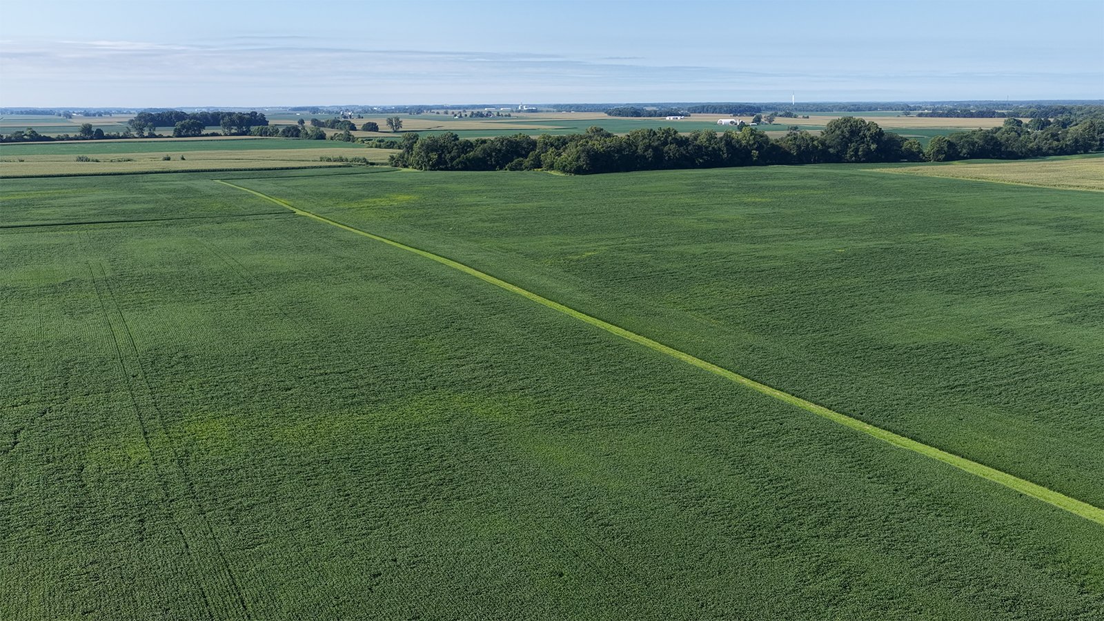 Property photo 14 - PREMIER OHIO LAND AUCTION - 377+/-ACRES OFFERED IN 5 TRACTS IN WYANDOT COUNTY, OHIO