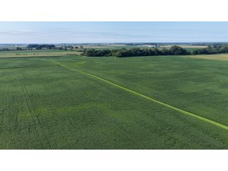 Property photo 33 - PREMIER OHIO LAND AUCTION - 377+/-ACRES OFFERED IN 5 TRACTS IN WYANDOT COUNTY, OHIO