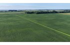 Property photo 14 - PREMIER OHIO LAND AUCTION - 377+/-ACRES OFFERED IN 5 TRACTS IN WYANDOT COUNTY, OHIO