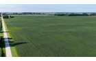 Property photo 31 - PREMIER OHIO LAND AUCTION - 377+/-ACRES OFFERED IN 5 TRACTS IN WYANDOT COUNTY, OHIO