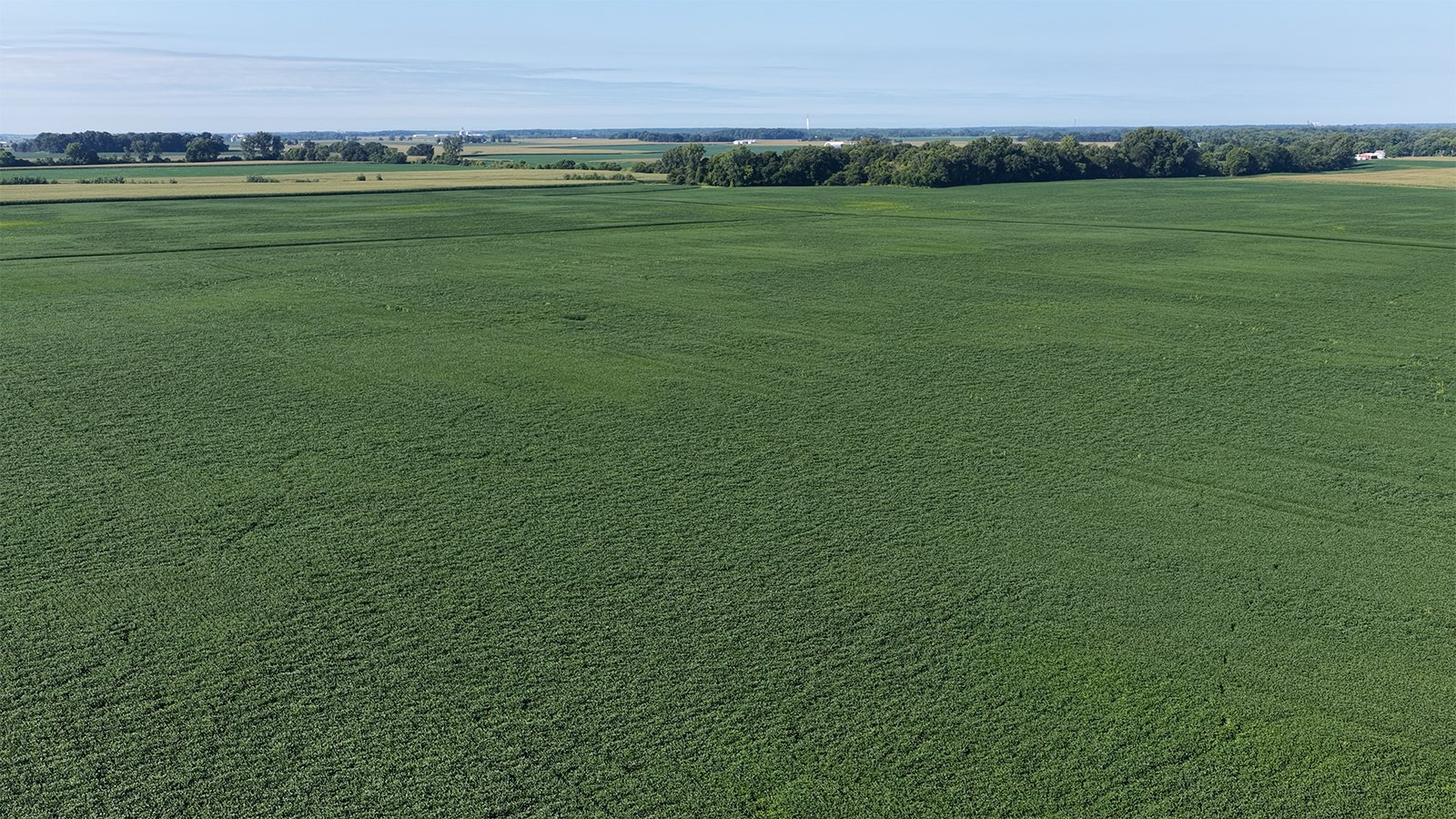 Property photo 15 - PREMIER OHIO LAND AUCTION - 377+/-ACRES OFFERED IN 5 TRACTS IN WYANDOT COUNTY, OHIO