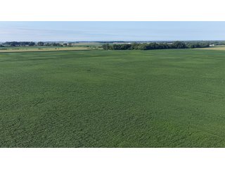 Property photo 35 - PREMIER OHIO LAND AUCTION - 377+/-ACRES OFFERED IN 5 TRACTS IN WYANDOT COUNTY, OHIO